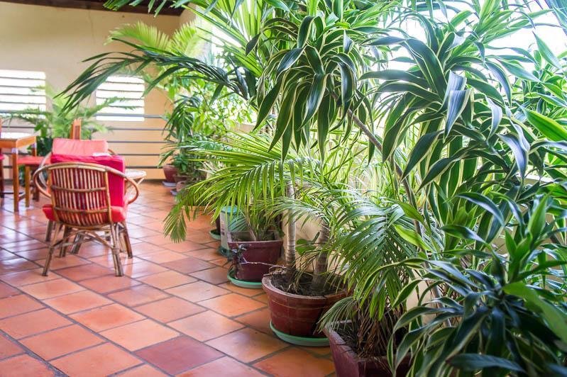 Visal Sak Guesthouse Кеп Екстериор снимка